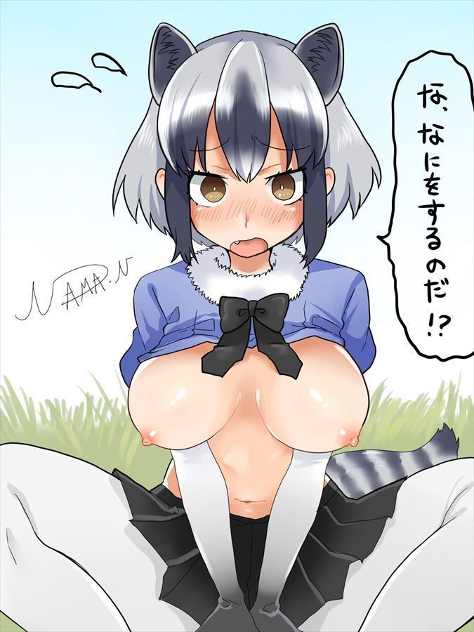 【Kimino Friends】Raccoon's vaginal vaginale secondary erotic image summary 3