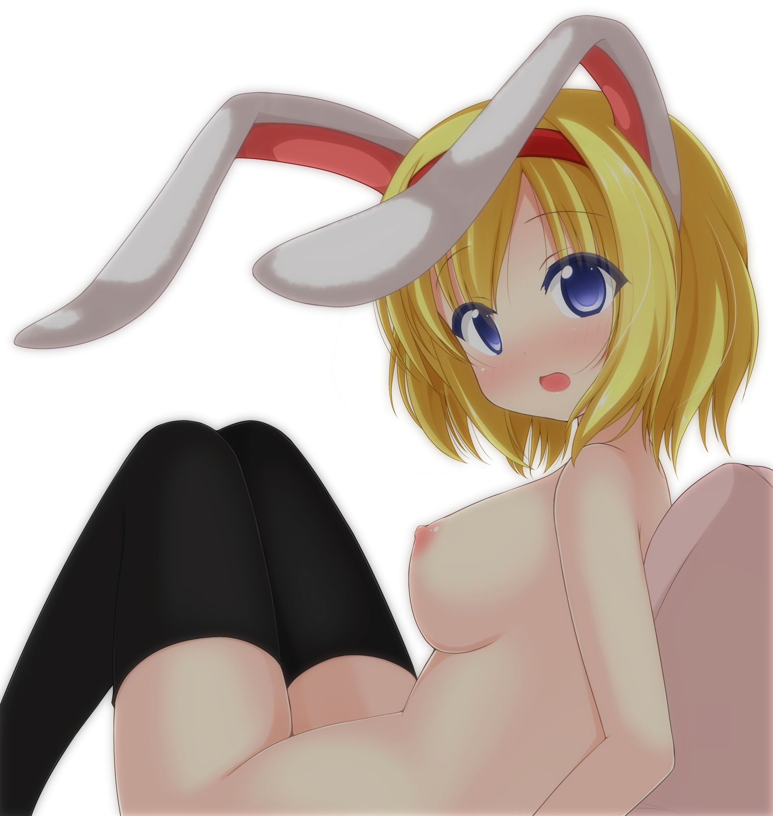 [Toukata Project] Alice's Moe cute secondary erotic image summary 22