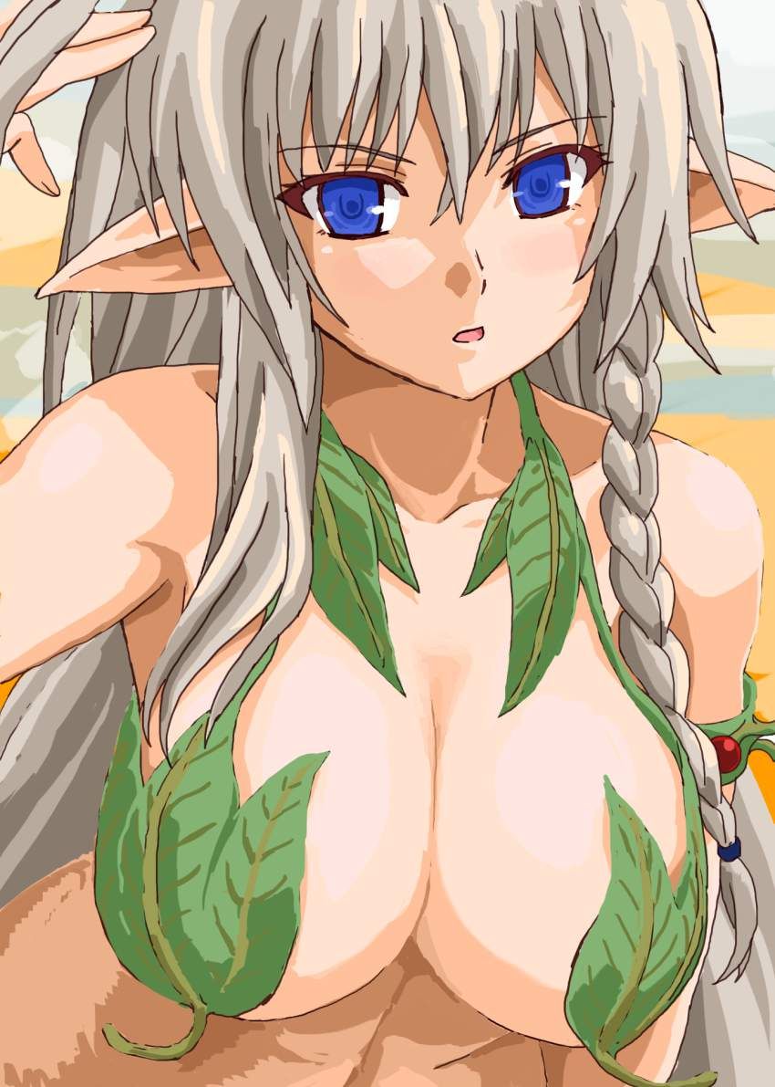 Selected images of Queen's Blade♪ 9