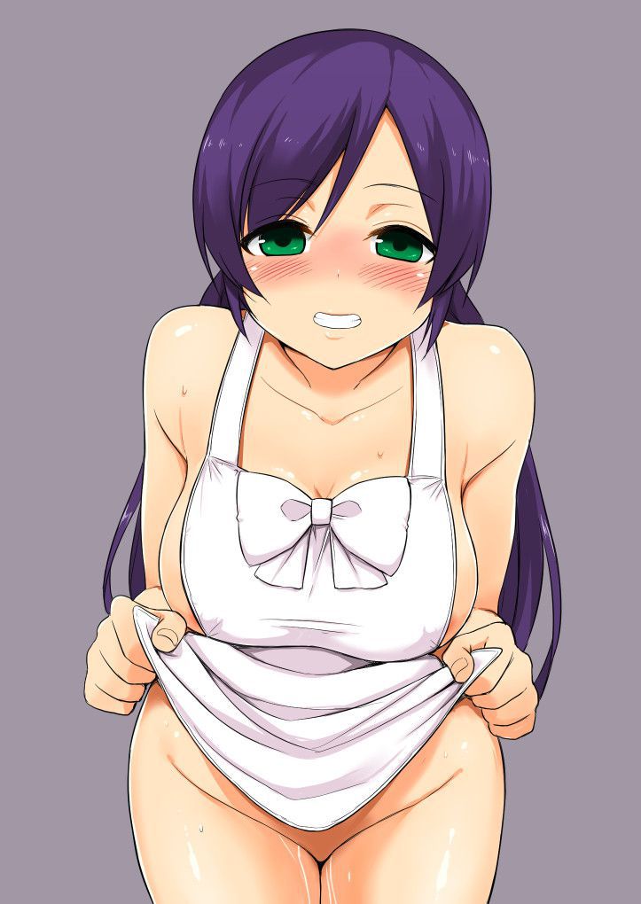 It is an erotic image of a naked apron! 3