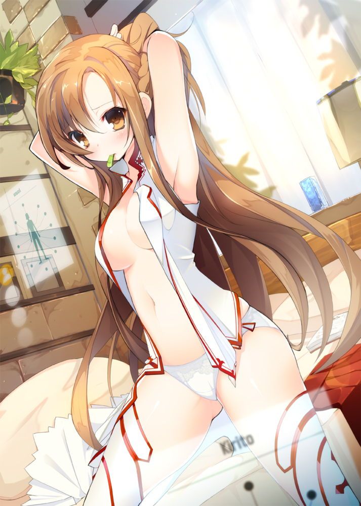 【Sword Art Online】Asuna's immediate secondary erotic image collection 4