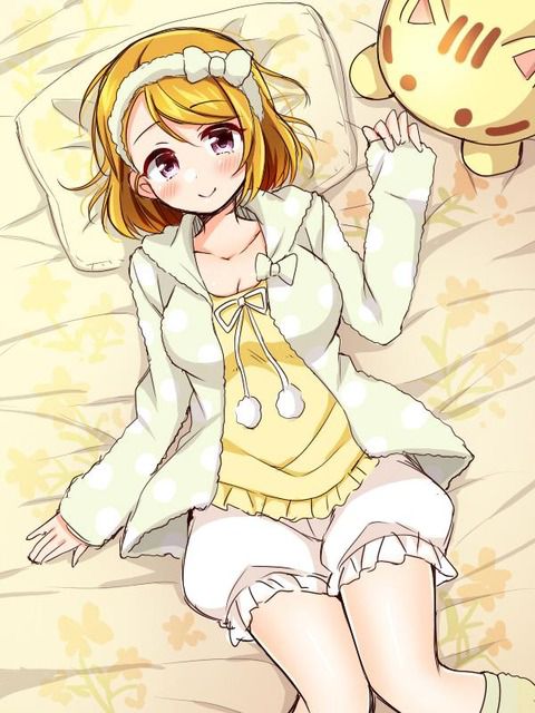 Erotic Anime Summary Love Live! μ's member's erotic image collection [36 photos] 18