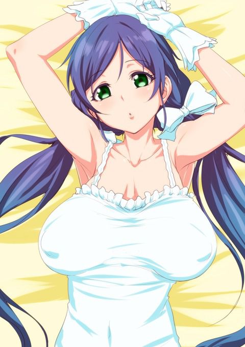 Erotic Anime Summary Love Live! μ's member's erotic image collection [36 photos] 25