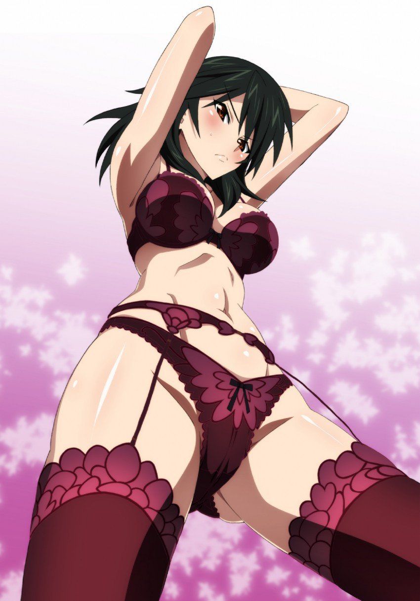 Two-dimensional erotic image of a girl with a clear erotic equipped garter belt → the initial equipment [Garter belt] 48