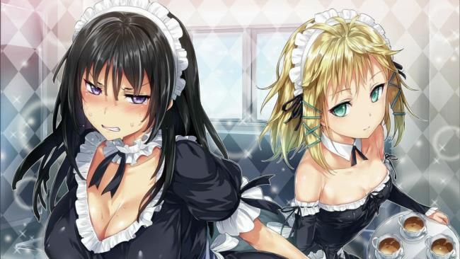 I will paste the erotic cute image of the maid! 15