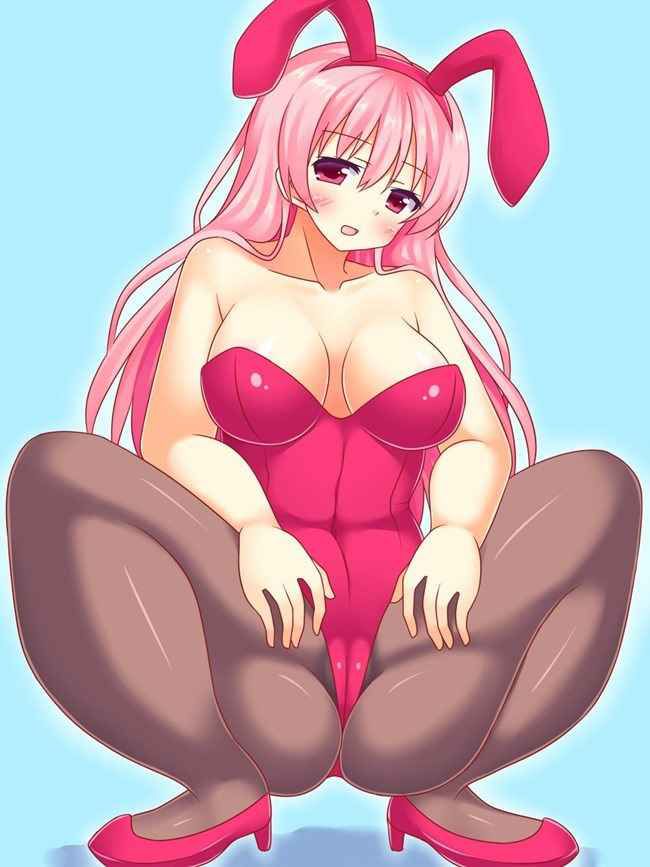 Erotic anime summary Beautiful girls who became bunny girls Echiechi image collection [40 sheets] 10