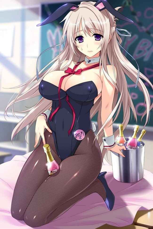 Erotic anime summary Beautiful girls who became bunny girls Echiechi image collection [40 sheets] 16