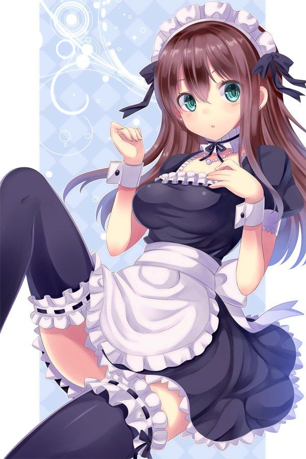 2D erotic image that it would be fun every day if such a beautiful maid was at home 17