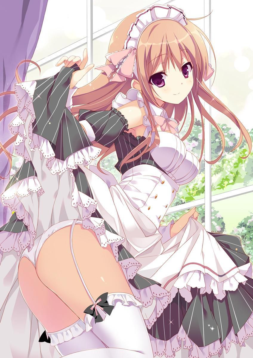 2D erotic image that it would be fun every day if such a beautiful maid was at home 25