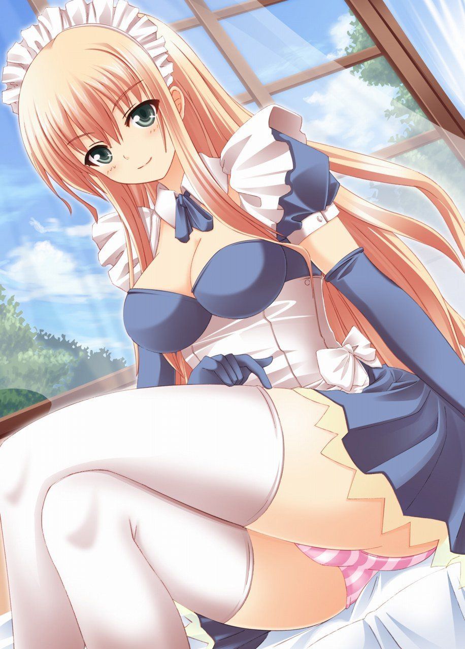 2D erotic image that it would be fun every day if such a beautiful maid was at home 28