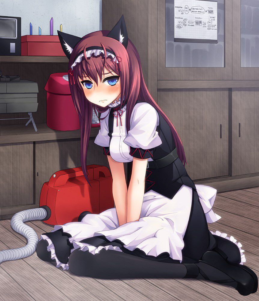 2D erotic image that it would be fun every day if such a beautiful maid was at home 30