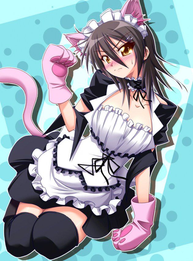 2D erotic image that it would be fun every day if such a beautiful maid was at home 41