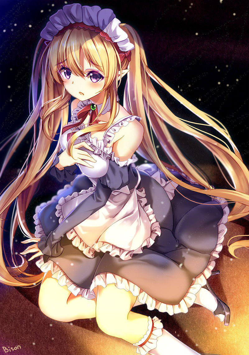 2D erotic image that it would be fun every day if such a beautiful maid was at home 63