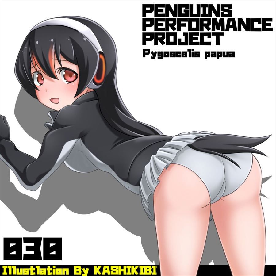 【Nemo friends erotic image】 The secret room for those who want to see the Ahe face of Gentoo Penguin is here! 9