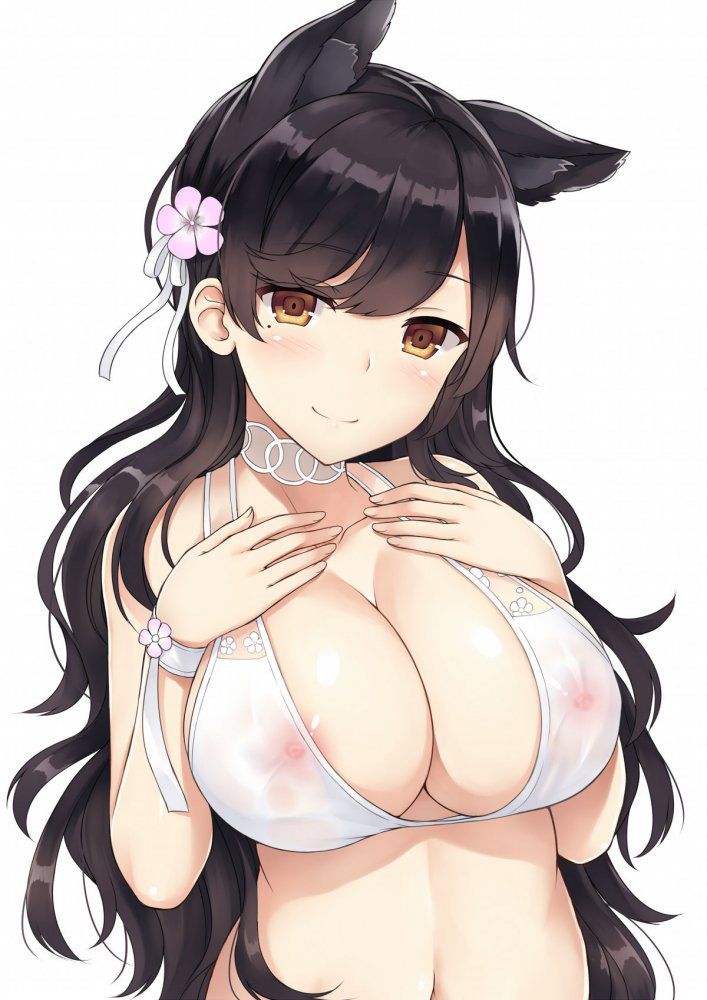 Although it is a pakuri of this ship called Azur Lane, here is a two-dimensional erotic image that is too much and siscoly! 35