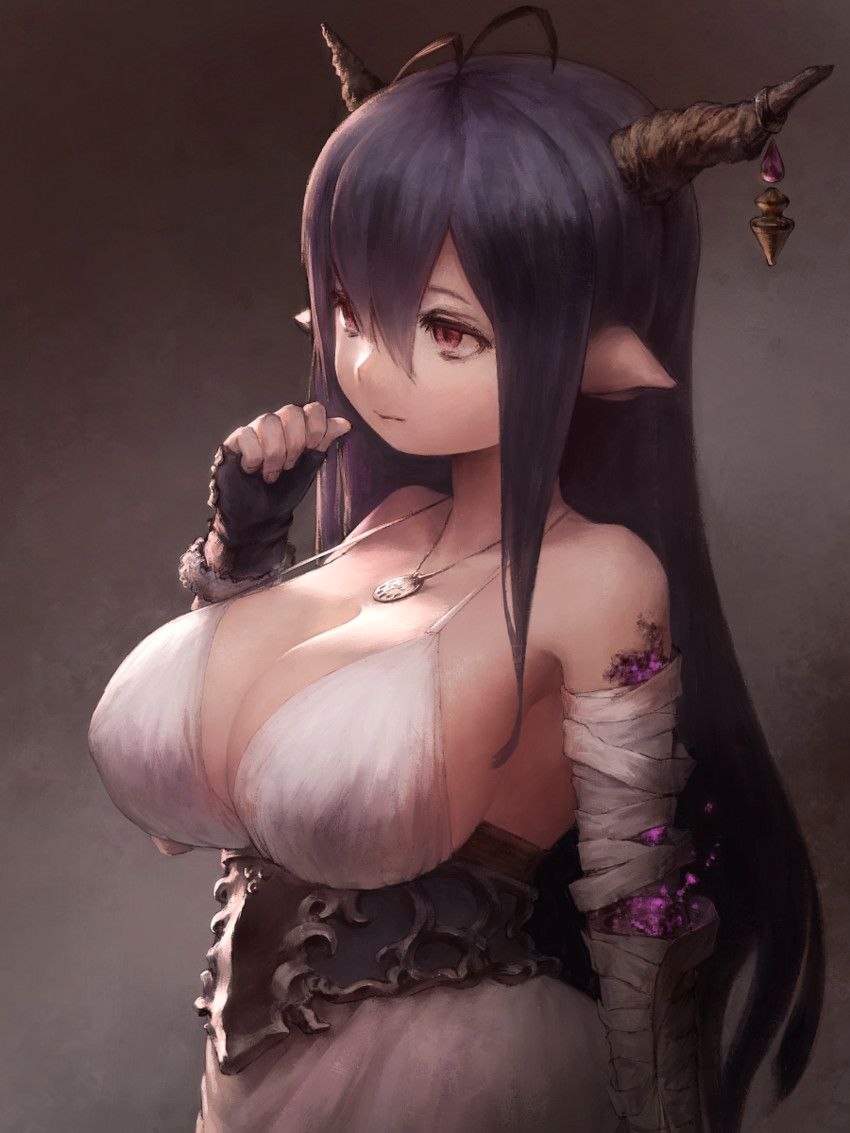 Danua's sexy and missing secondary erotic images [Granblue Fantasy] 15