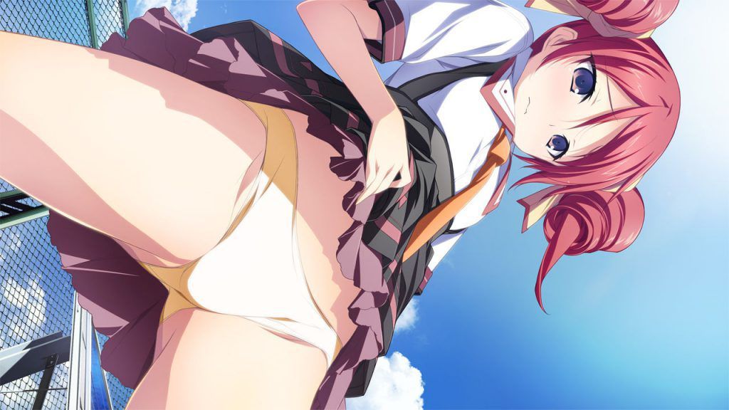 A two-dimensional erotic image that raises the skirt and makes you see a pantsu or 11