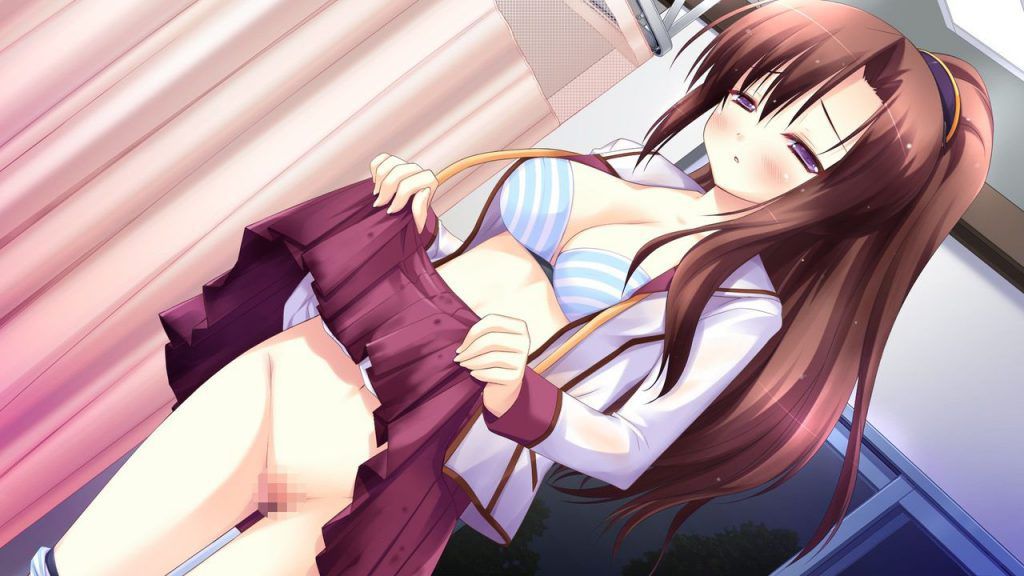 A two-dimensional erotic image that raises the skirt and makes you see a pantsu or 14