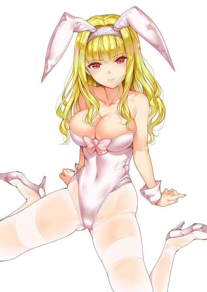 Two-dimensional erotic image that was a life that I wanted to keep such a cute rabbit as a sex slave 16
