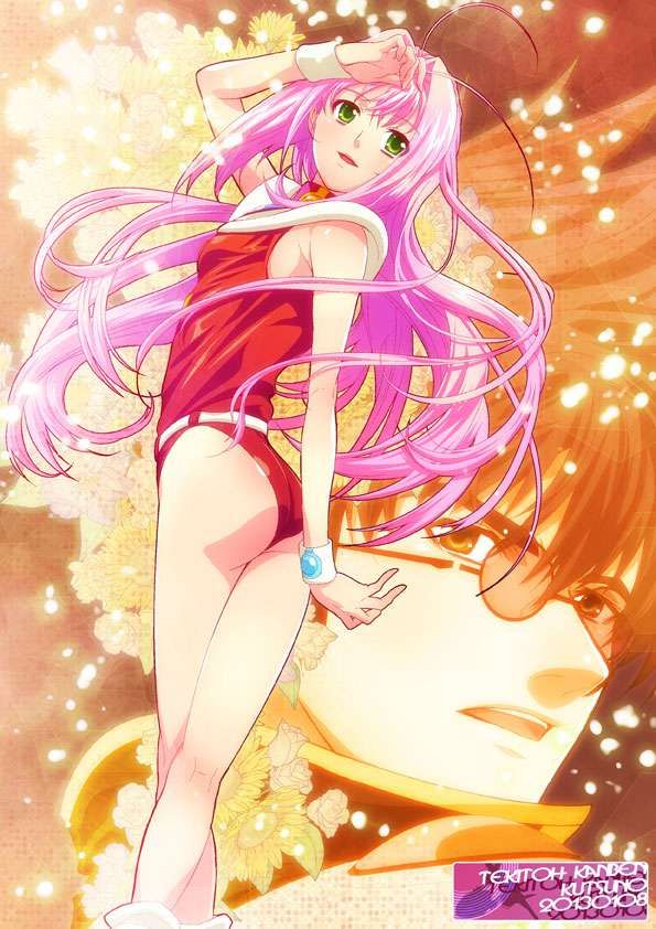 Macross's erotic images 2