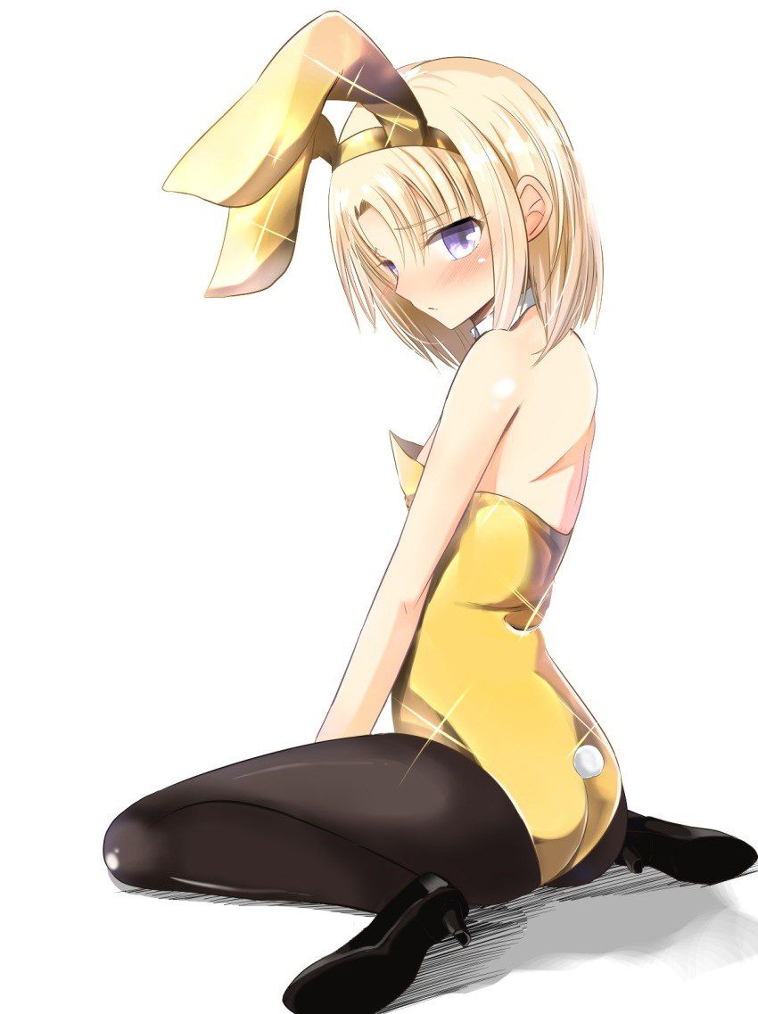 Where can I buy a bunny girl? I want to keep such a rabbit by all means! 20