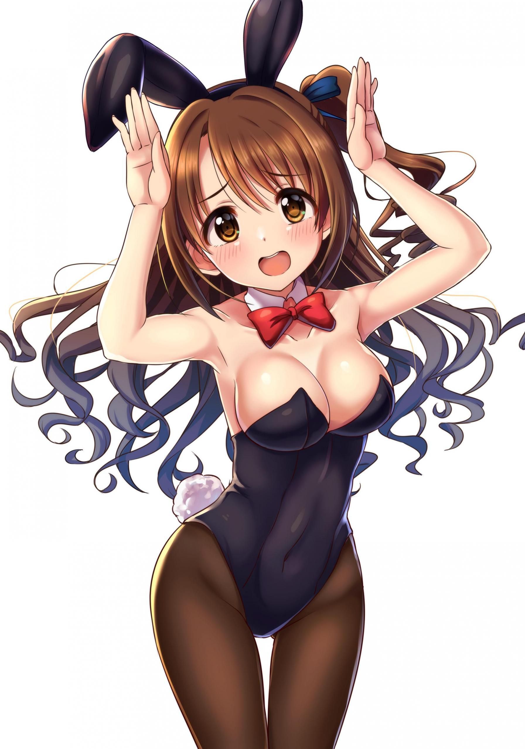 Where can I buy a bunny girl? I want to keep such a rabbit by all means! 9