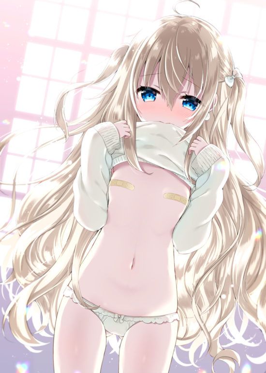 【Secondary erotic】 Here is the erotic image of a girl who raises clothes and shows various parts 23