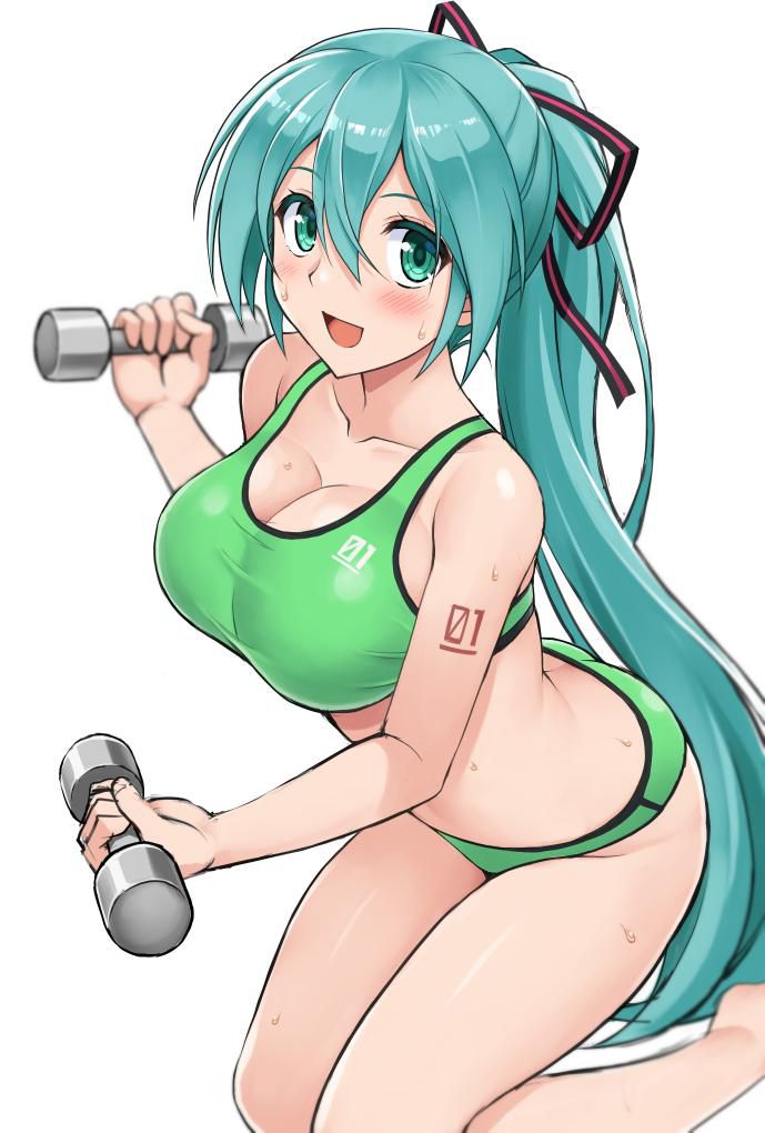 Vocaloid Image that is becoming the Iki face of Hatsune Miku 13