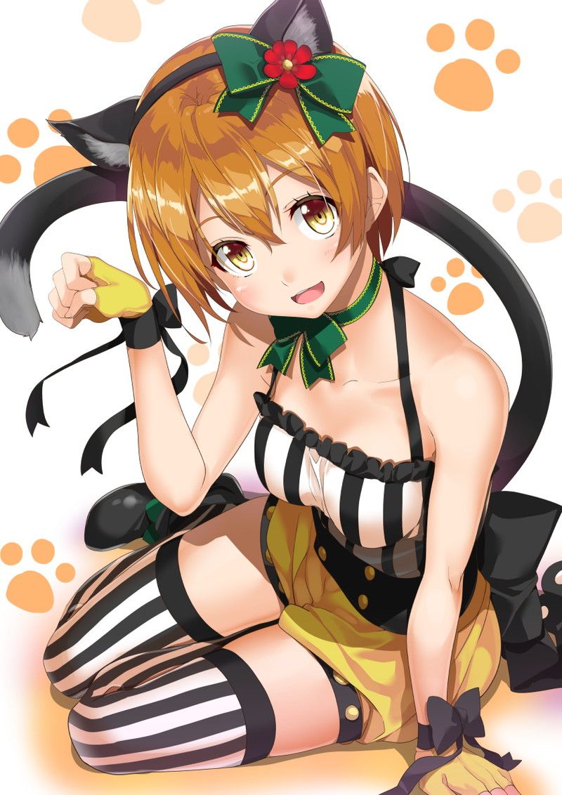 [Love Live! ] Erotic images that come through with the horn of starry sky Rin 18