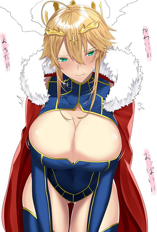 [Erotic anime summary] Assorted erotic images of FGO appearance servants are here [49 sheets] 46