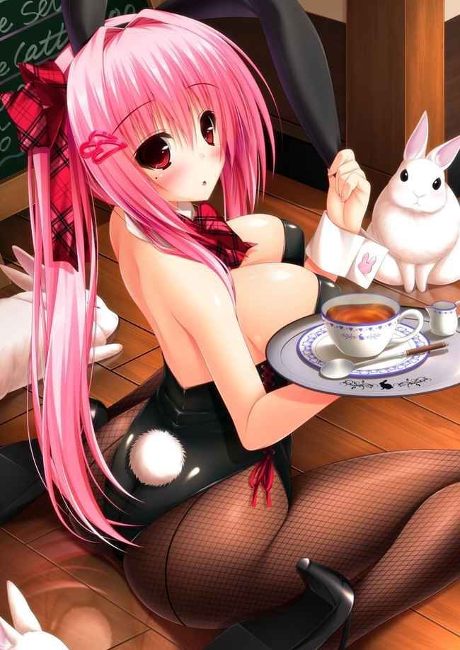 Erotic anime summary erotic image collection of beautiful girls who cosplayed bunny girls [40 photos] 1