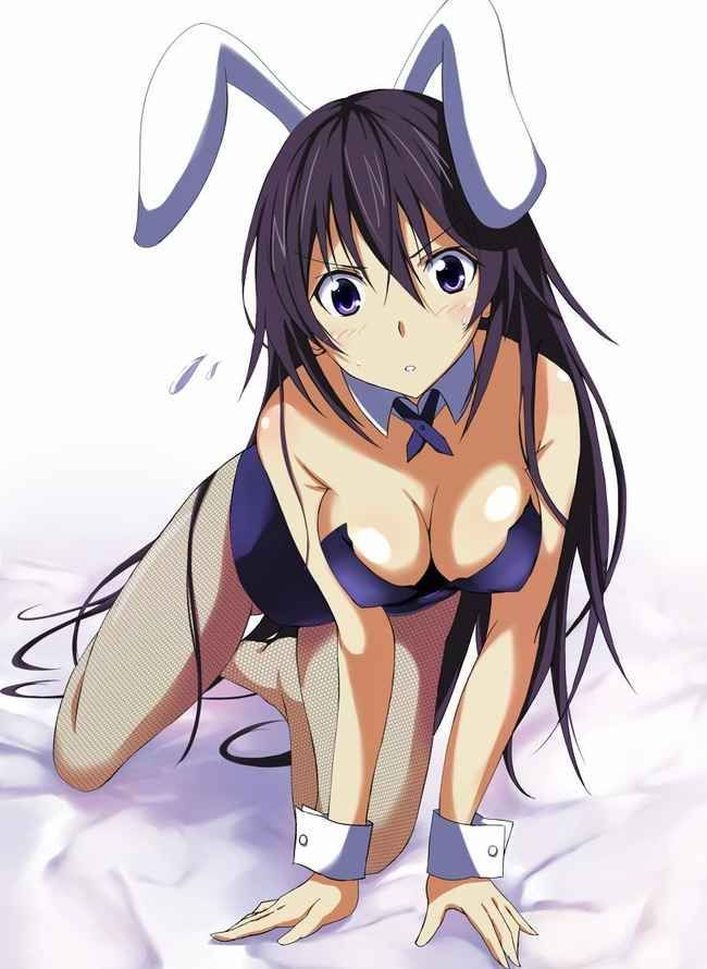 Erotic anime summary erotic image collection of beautiful girls who cosplayed bunny girls [40 photos] 10