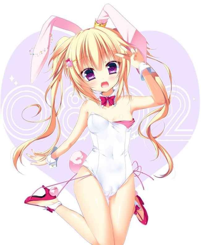 Erotic anime summary erotic image collection of beautiful girls who cosplayed bunny girls [40 photos] 20