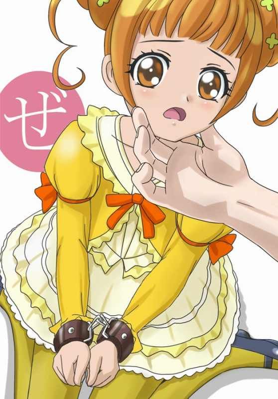 Collect the guy who wants to syco with precure erotic images! 7