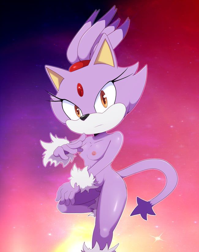 Erotic images of the Sonic series [Blaze the Cat] 16