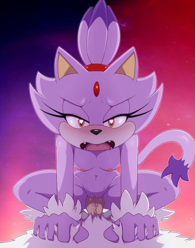 Erotic images of the Sonic series [Blaze the Cat] 18