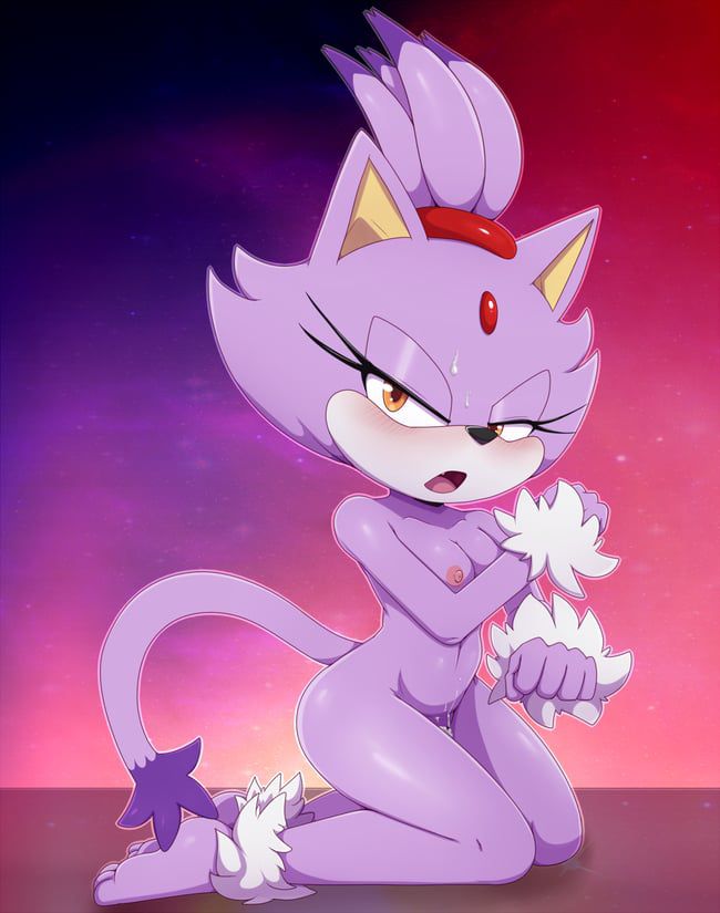 Erotic images of the Sonic series [Blaze the Cat] 19