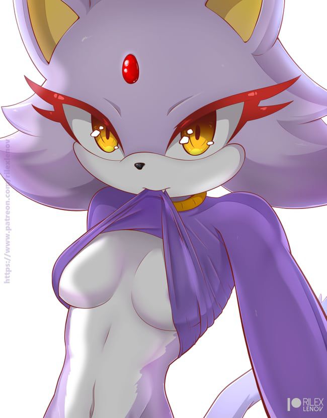 Erotic images of the Sonic series [Blaze the Cat] 2