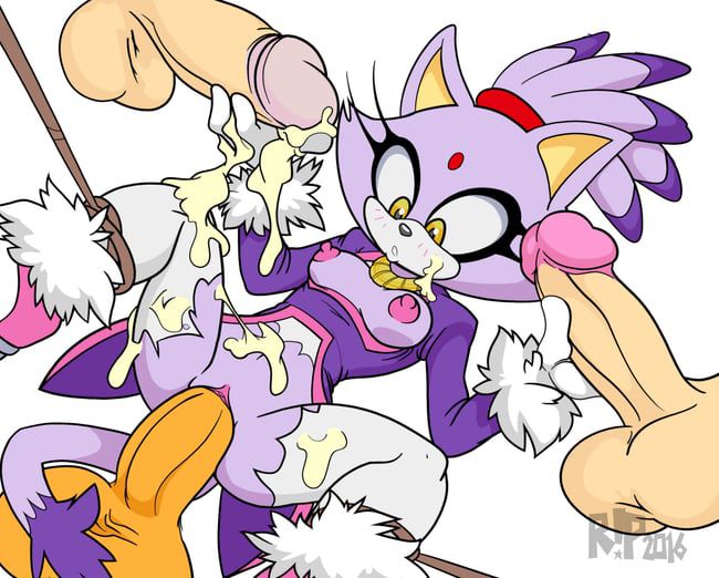 Erotic images of the Sonic series [Blaze the Cat] 22