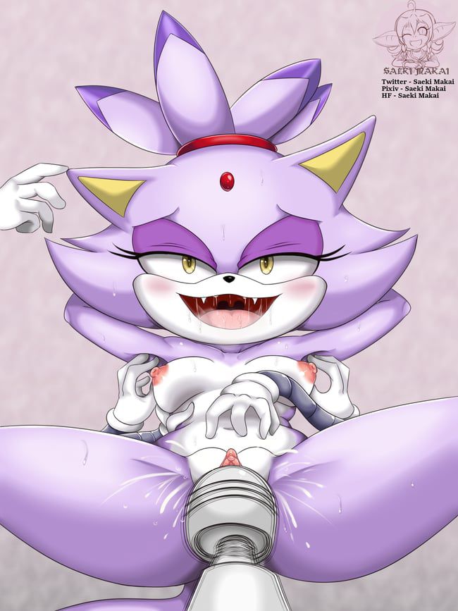 Erotic images of the Sonic series [Blaze the Cat] 24