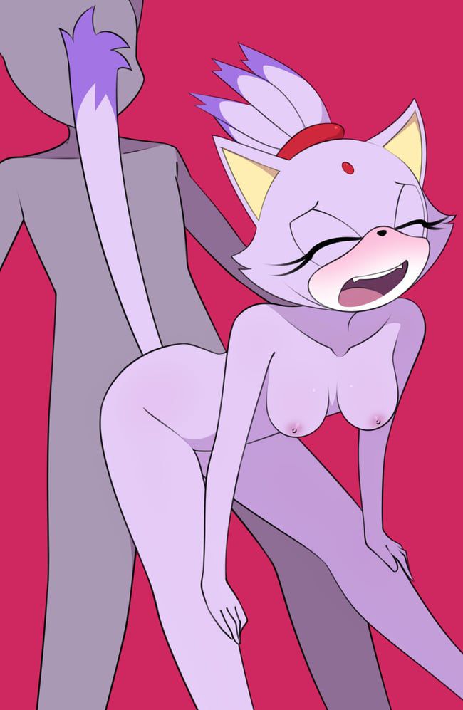 Erotic images of the Sonic series [Blaze the Cat] 26