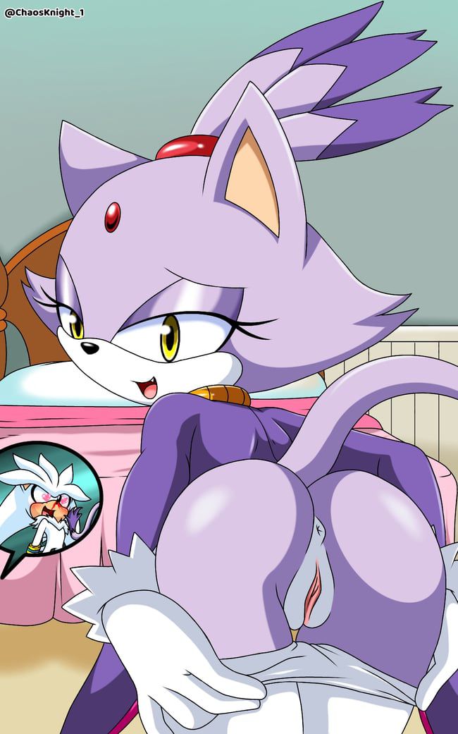 Erotic images of the Sonic series [Blaze the Cat] 30