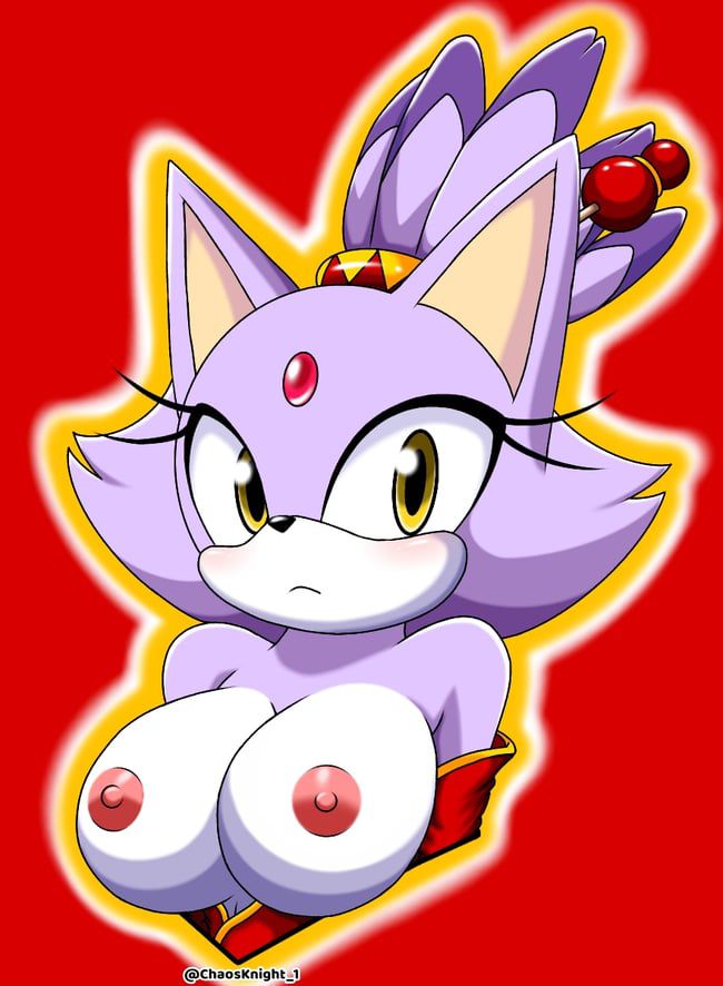 Erotic images of the Sonic series [Blaze the Cat] 31