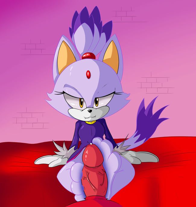 Erotic images of the Sonic series [Blaze the Cat] 34