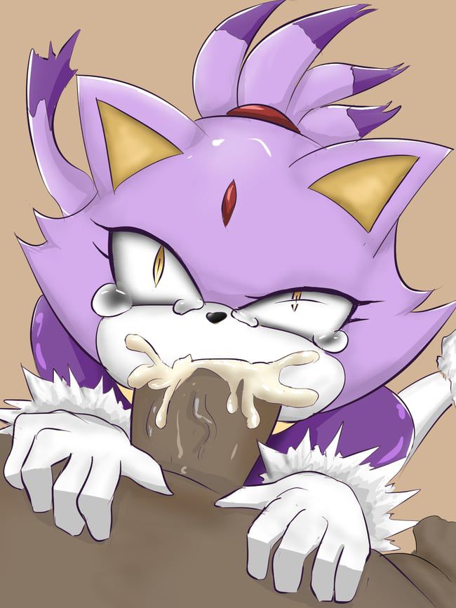 Erotic images of the Sonic series [Blaze the Cat] 37