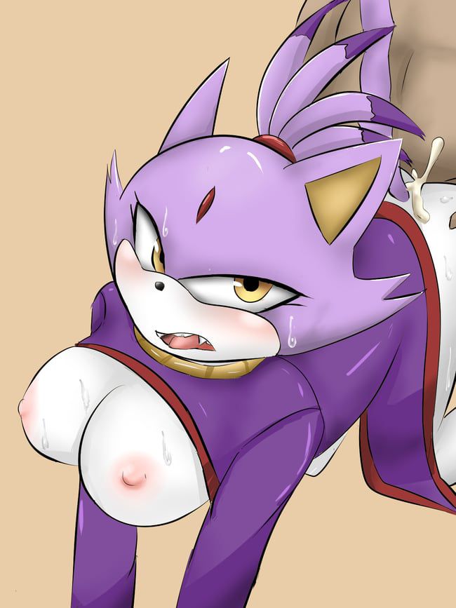 Erotic images of the Sonic series [Blaze the Cat] 38