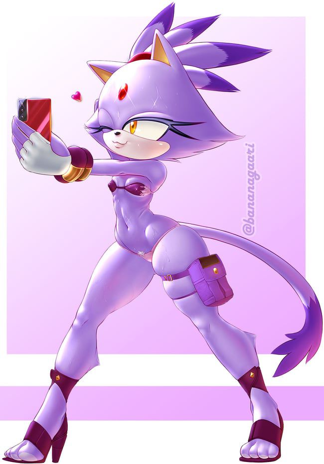 Erotic images of the Sonic series [Blaze the Cat] 42