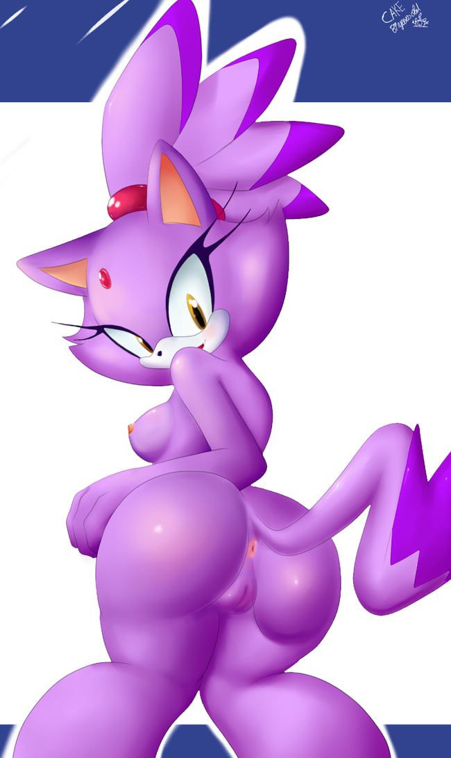 Erotic images of the Sonic series [Blaze the Cat] 5