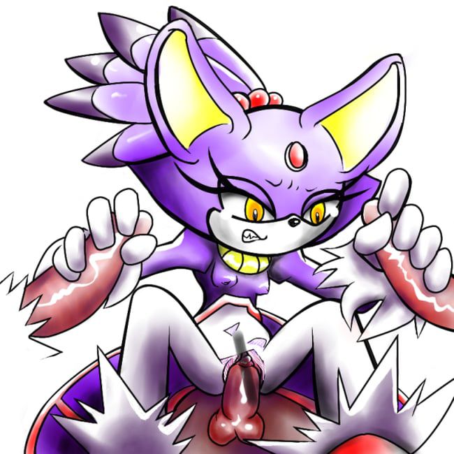 Erotic images of the Sonic series [Blaze the Cat] 51