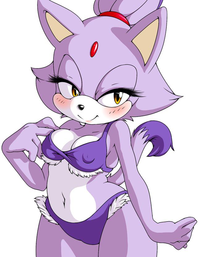 Erotic images of the Sonic series [Blaze the Cat] 57